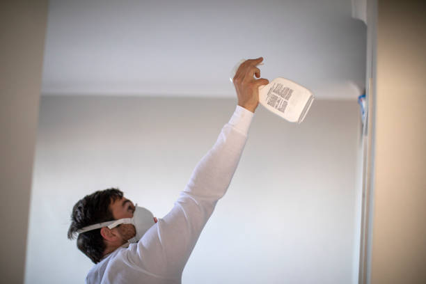 Best Attic Mold Removal  in Hartford, WI
