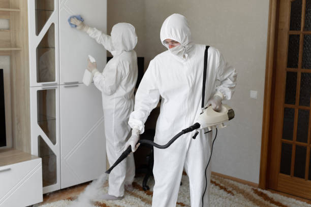 Mold Removal Process in Hartford, WI
