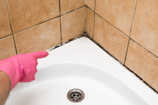 Best Residential Mold Removal  in Hartford, WI